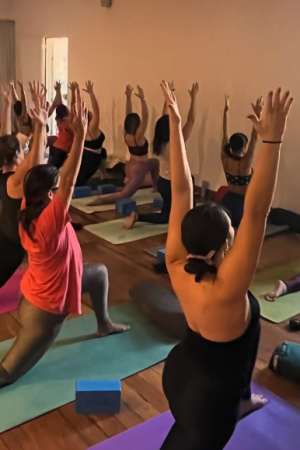 Formação 200h Yoganaya