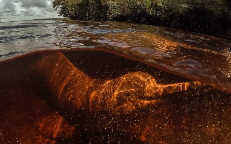 Cópia de Amazônia Bototerapia GOPRO2018-1079486