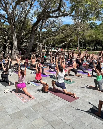 Maha Karma Yoga (4)